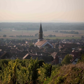 Vins d'Alsace Koehly